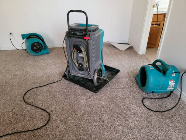 Local water damage restoration in Bluff City, TN