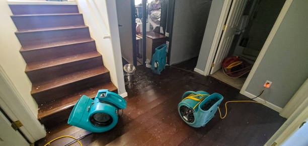 Best 24/7 water damage repair  in Bluff City, TN