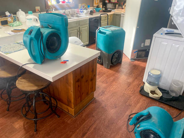 Best Carpet water damage restoration  in Bluff City, TN