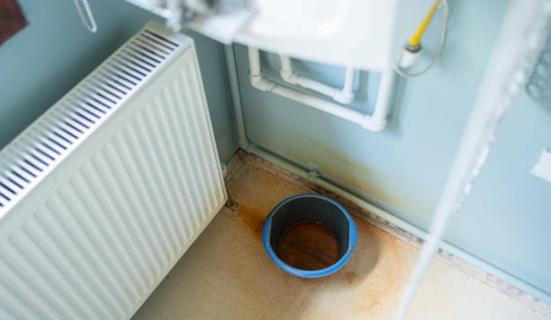 Best Local water damage restoration  in Bluff City, TN