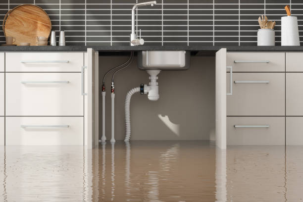 Best Residential water damage restoration  in Bluff City, TN